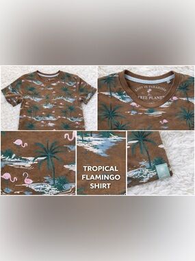 Free Planet Lost inParadiseTropical FlamingoTee Brown Adult Small Organic Cotton